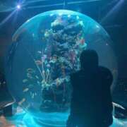 ヒメ日記 2025/02/21 19:42 投稿 松嶋　ひなた アムアージュ