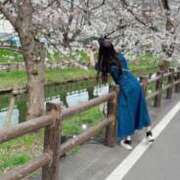 ヒメ日記 2025/04/04 13:20 投稿 さくら 千葉メイドリーム（ユメオト）