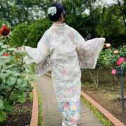 ヒメ日記 2025/05/13 16:43 投稿 さくら 千葉メイドリーム（ユメオト）