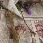 ヒメ日記 2025/03/05 15:41 投稿 りん(人妻) THE・TRY