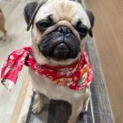 ヒメ日記 2025/02/13 12:29 投稿 牧瀬 モアグループ西川口人妻城