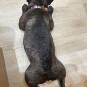 ヒメ日記 2025/03/09 14:39 投稿 牧瀬 モアグループ西川口人妻城