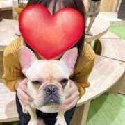 ヒメ日記 2025/03/10 11:19 投稿 牧瀬 モアグループ西川口人妻城