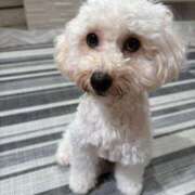 ヒメ日記 2025/10/16 15:58 投稿 牧瀬 モアグループ西川口人妻城