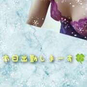 ヒメ日記 2025/01/16 08:59 投稿 しのぶ 松戸人妻 MAD熟女