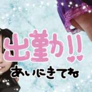 ヒメ日記 2025/03/08 11:09 投稿 しのぶ 松戸人妻 MAD熟女