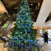 ヒメ日記 2024/12/24 11:03 投稿 よしの 半熟ばなな　錦糸町