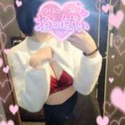 ヒメ日記 2025/10/10 16:42 投稿 すず 横浜ハートショコラ（シンデレラグループ）