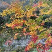 ヒメ日記 2025/11/13 19:29 投稿 さいか ミラー