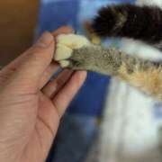 ヒメ日記 2026/01/09 07:53 投稿 成瀬まや 地元女子のメンズエステ AROMA DREAM