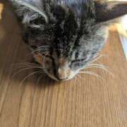 ヒメ日記 2026/03/06 11:33 投稿 成瀬まや 地元女子のメンズエステ AROMA DREAM