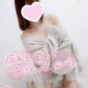 ヒメ日記 2026/02/17 23:33 投稿 如月さくら 地元女子のメンズエステ AROMA DREAM