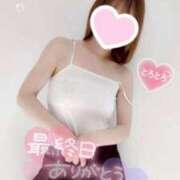 ヒメ日記 2026/03/15 23:33 投稿 如月さくら 地元女子のメンズエステ AROMA DREAM
