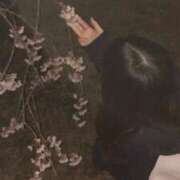 ヒメ日記 2025/04/08 12:03 投稿 みつき 素敵な女の子は好きですか？