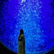 ヒメ日記 2026/03/12 03:03 投稿 みつき 素敵な女の子は好きですか？