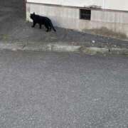 ヒメ日記 2026/04/04 19:18 投稿 みつき 素敵な女の子は好きですか？