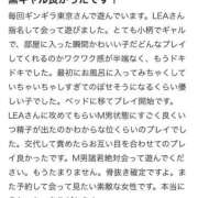 ヒメ日記 2025/01/24 17:49 投稿 LEA GINGIRA☆TOKYO～ギンギラ東京～