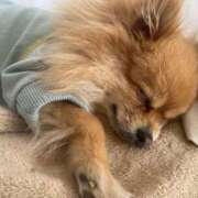 ヒメ日記 2025/02/20 14:42 投稿 りこ デリピン　ハワイ