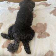 ヒメ日記 2025/05/09 10:13 投稿 りこ デリピン　ハワイ