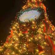 ヒメ日記 2025/11/21 15:30 投稿 もも Rutile(ルチル)