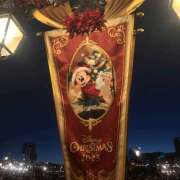 ヒメ日記 2025/12/09 15:07 投稿 もも Rutile(ルチル)