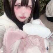 ヒメ日記 2026/01/08 14:18 投稿 もも Rutile(ルチル)