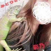 ヒメ日記 2024/12/11 02:14 投稿 森下 あやの マーベリック横浜