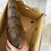 ヒメ日記 2025/04/22 20:34 投稿 森下 あやの マーベリック横浜