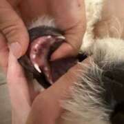 ヒメ日記 2025/05/15 06:34 投稿 森下 あやの マーベリック横浜