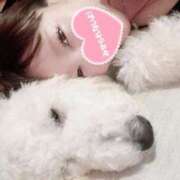 ヒメ日記 2025/06/22 01:34 投稿 森下 あやの マーベリック横浜