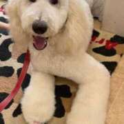 ヒメ日記 2025/07/15 19:05 投稿 森下 あやの マーベリック横浜