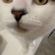 森下 あやの 本日出勤します(  '▽' ) マーベリック横浜