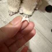 ヒメ日記 2025/05/31 05:18 投稿 彩乃（あやの） 今日、私はあなたの部下（マーベリックグループ）