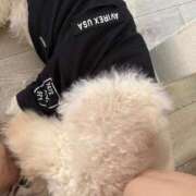 ヒメ日記 2025/06/19 15:28 投稿 彩乃（あやの） 今日、私はあなたの部下（マーベリックグループ）