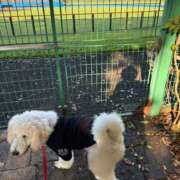 ヒメ日記 2025/06/22 22:58 投稿 彩乃（あやの） 今日、私はあなたの部下（マーベリックグループ）