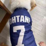 ヒメ日記 2025/06/24 17:48 投稿 彩乃（あやの） 今日、私はあなたの部下（マーベリックグループ）