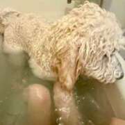 ヒメ日記 2025/06/25 22:38 投稿 彩乃（あやの） 今日、私はあなたの部下（マーベリックグループ）