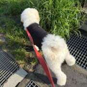 ヒメ日記 2025/06/27 07:08 投稿 彩乃（あやの） 今日、私はあなたの部下（マーベリックグループ）