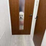 ヒメ日記 2026/03/29 07:28 投稿 彩乃（あやの） 今日、私はあなたの部下（マーベリックグループ）