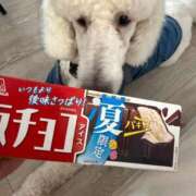ヒメ日記 2026/08/19 19:28 投稿 彩乃（あやの） 今日、私はあなたの部下（マーベリックグループ）
