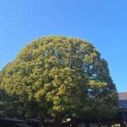 ヒメ日記 2026/01/18 15:15 投稿 工藤　みなみ 三丁目の奥様（東京ハレ系）