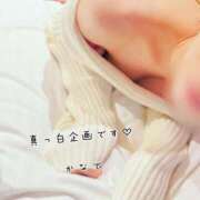 ヒメ日記 2024/12/17 19:24 投稿 かなで 道玄坂クリスタル