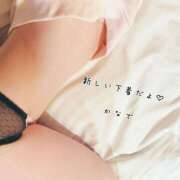 ヒメ日記 2024/12/17 23:06 投稿 かなで 道玄坂クリスタル