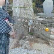 ヒメ日記 2025/01/05 09:06 投稿 かなで 道玄坂クリスタル