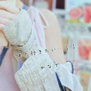 ヒメ日記 2025/01/25 12:07 投稿 かなで 道玄坂クリスタル