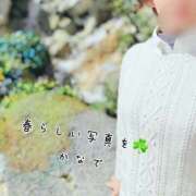 ヒメ日記 2025/03/12 13:36 投稿 かなで 道玄坂クリスタル