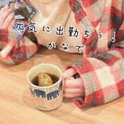 ヒメ日記 2025/03/29 12:02 投稿 かなで 道玄坂クリスタル