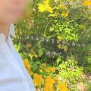 ヒメ日記 2025/04/09 13:26 投稿 かなで 道玄坂クリスタル