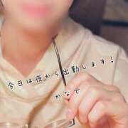 ヒメ日記 2025/04/10 12:21 投稿 かなで 道玄坂クリスタル