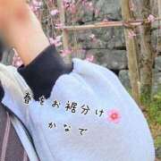 ヒメ日記 2025/04/13 13:36 投稿 かなで 道玄坂クリスタル